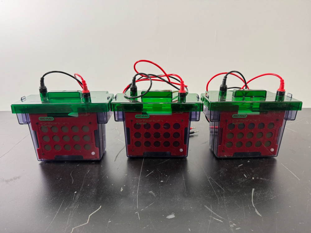 Image of Bio-Rad Criterion Blotters - Quantity 3